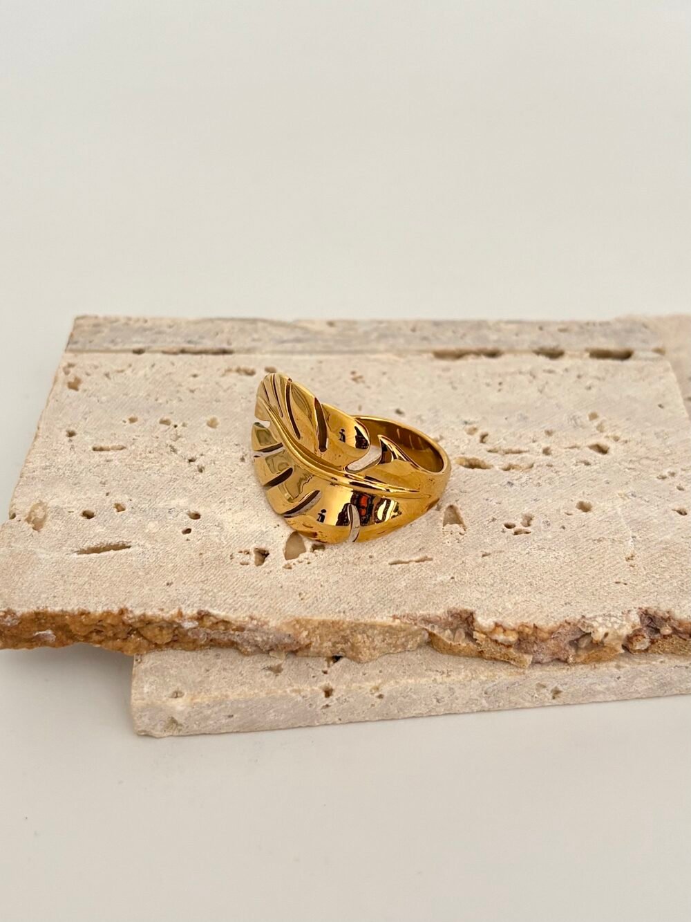 Lifa ring.   DJR22 - Image 4